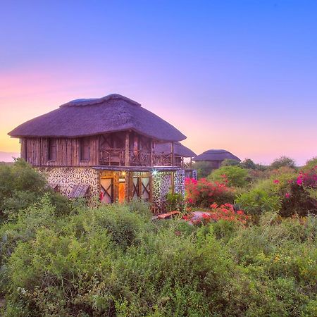 Manyara Wildlife Safari Camp Zanzibar Exterior foto